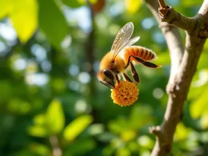Propolis co to? Odkryj tajemnice kitu pszczelego!
