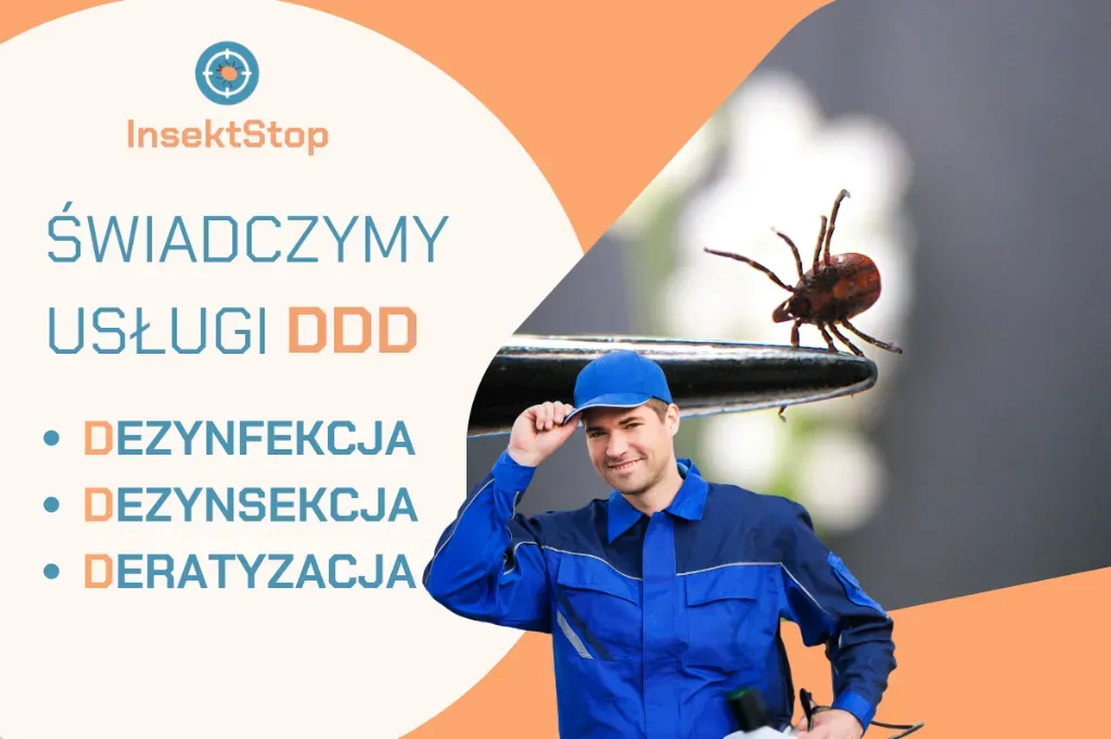 insektstop.pl dezynsekcja