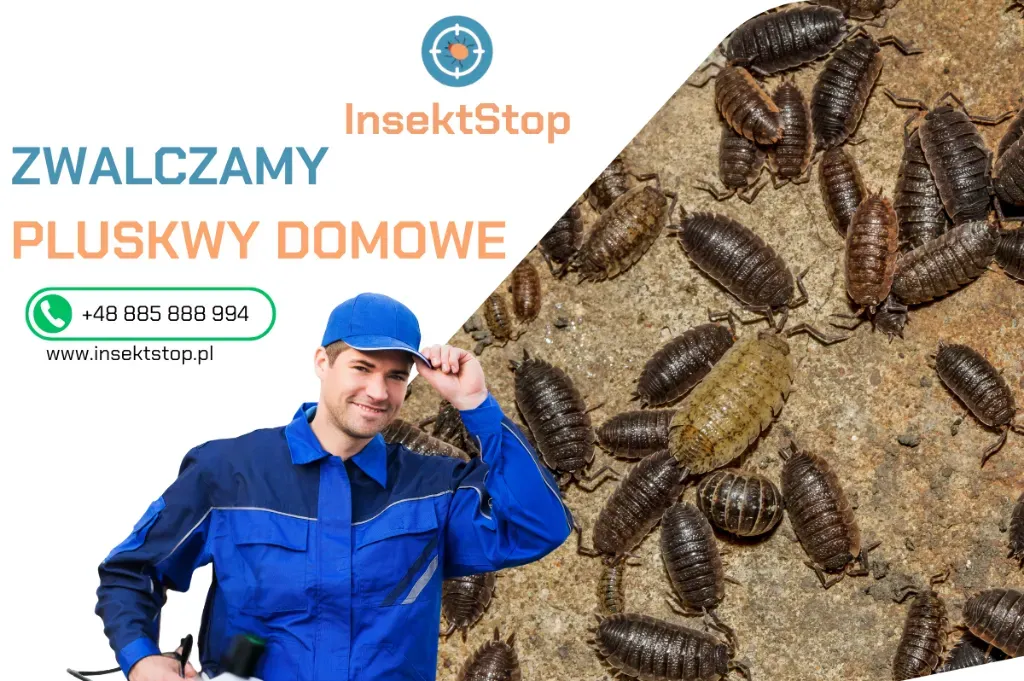 zwalczanie pluskiew insektstop.pl