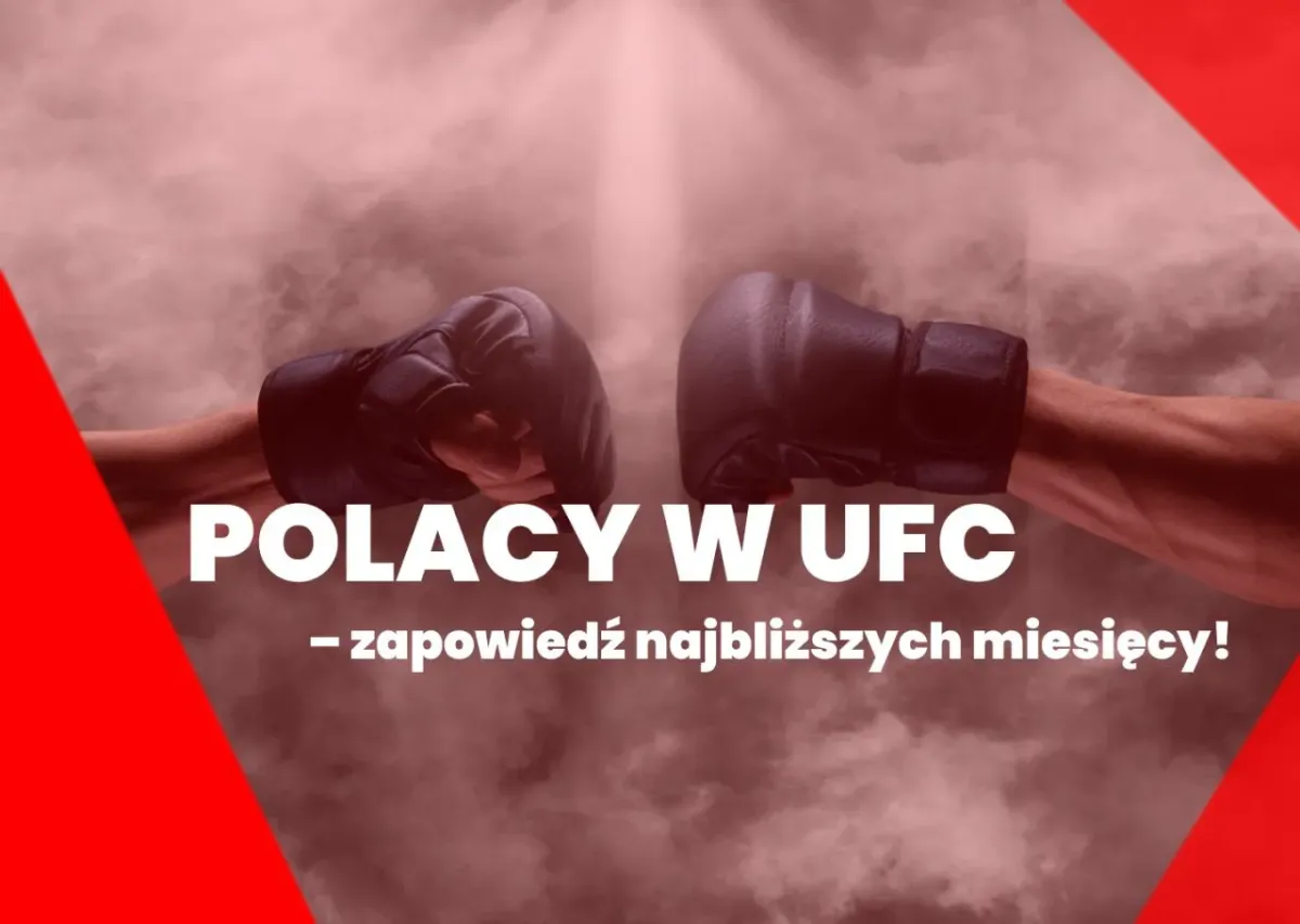 Polacy w UFC – zapowiedź najbliższych miesięcy!