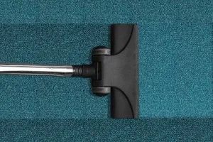 Jaki odkurzacz Karcher wybrać?