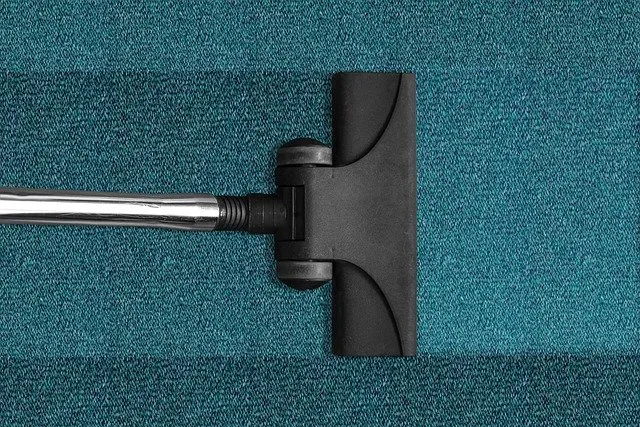 Jaki odkurzacz Karcher wybrać?